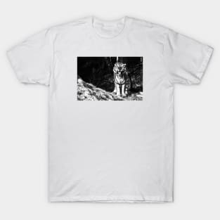 Year of the tiger 2022 /  Swiss Artwork Photography T-Shirt